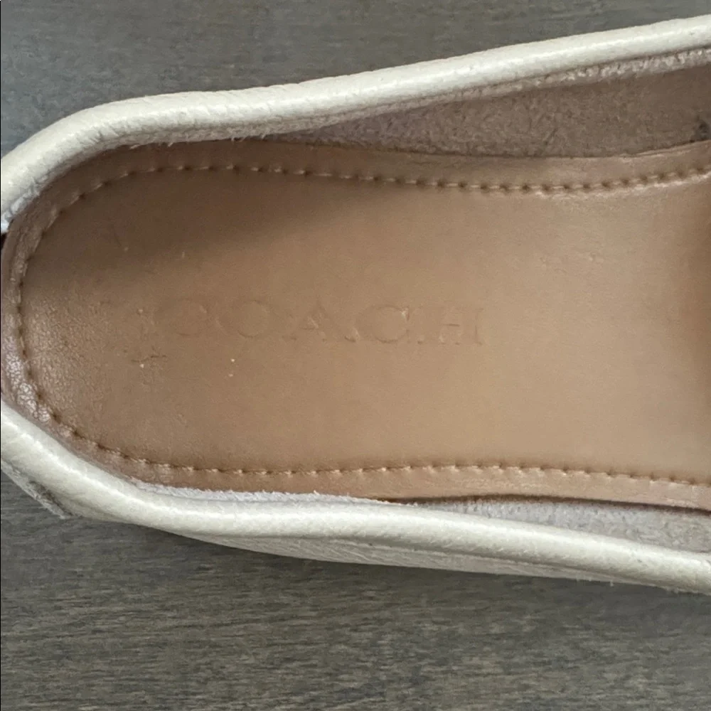 Coach classic fredrica